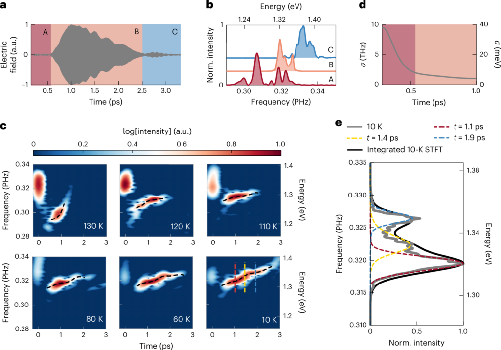 Fig 3 of the article.